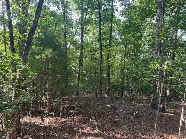 Lot 208 28 Boulder Creek Road - Photo 4