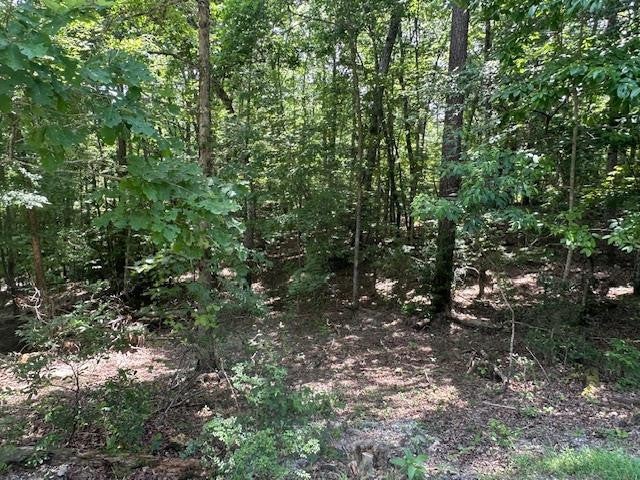 Lot 208 28 Boulder Creek Road - Photo 3
