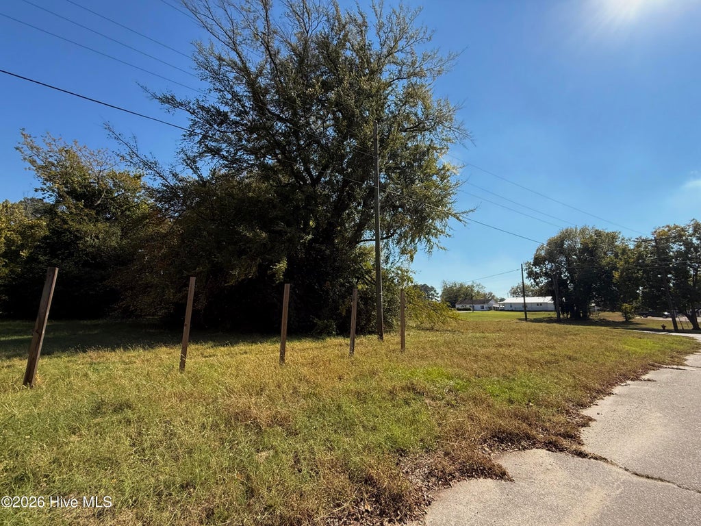 Photo of 0 S Carolina Street, Goldsboro, NC 27530 (MLS # 100610708)