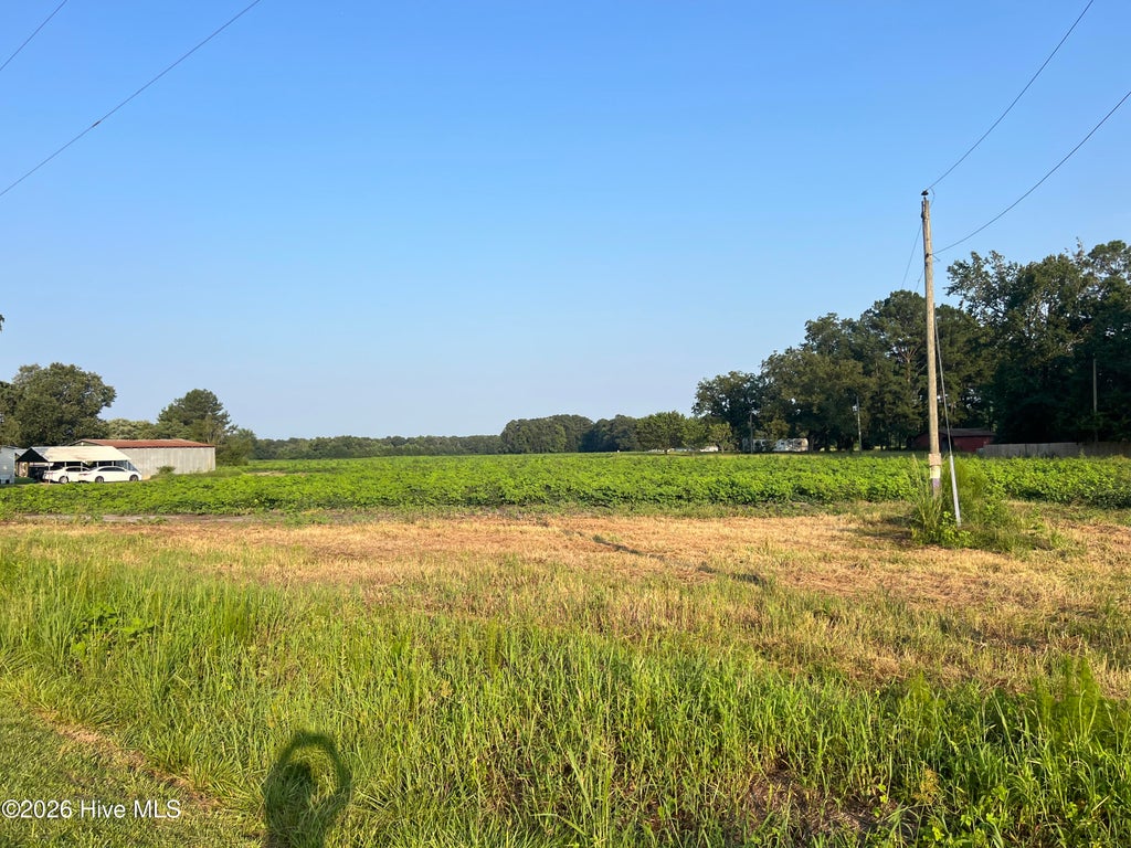 Photo of 3541 Daughety White Road Road, Kinston, NC 28501 (MLS # 100604786)
