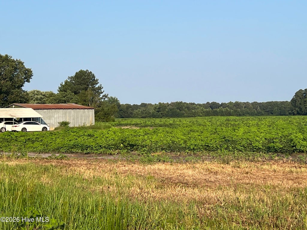 Photo of 3541 Daughety White Road Road, Kinston, NC 28501 (MLS # 100604786)