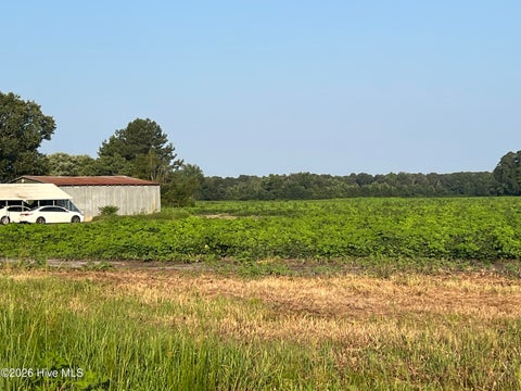 Vacant Land For Sale - 3541 Daughety White Road Road<br/> Kinston, NC 28501