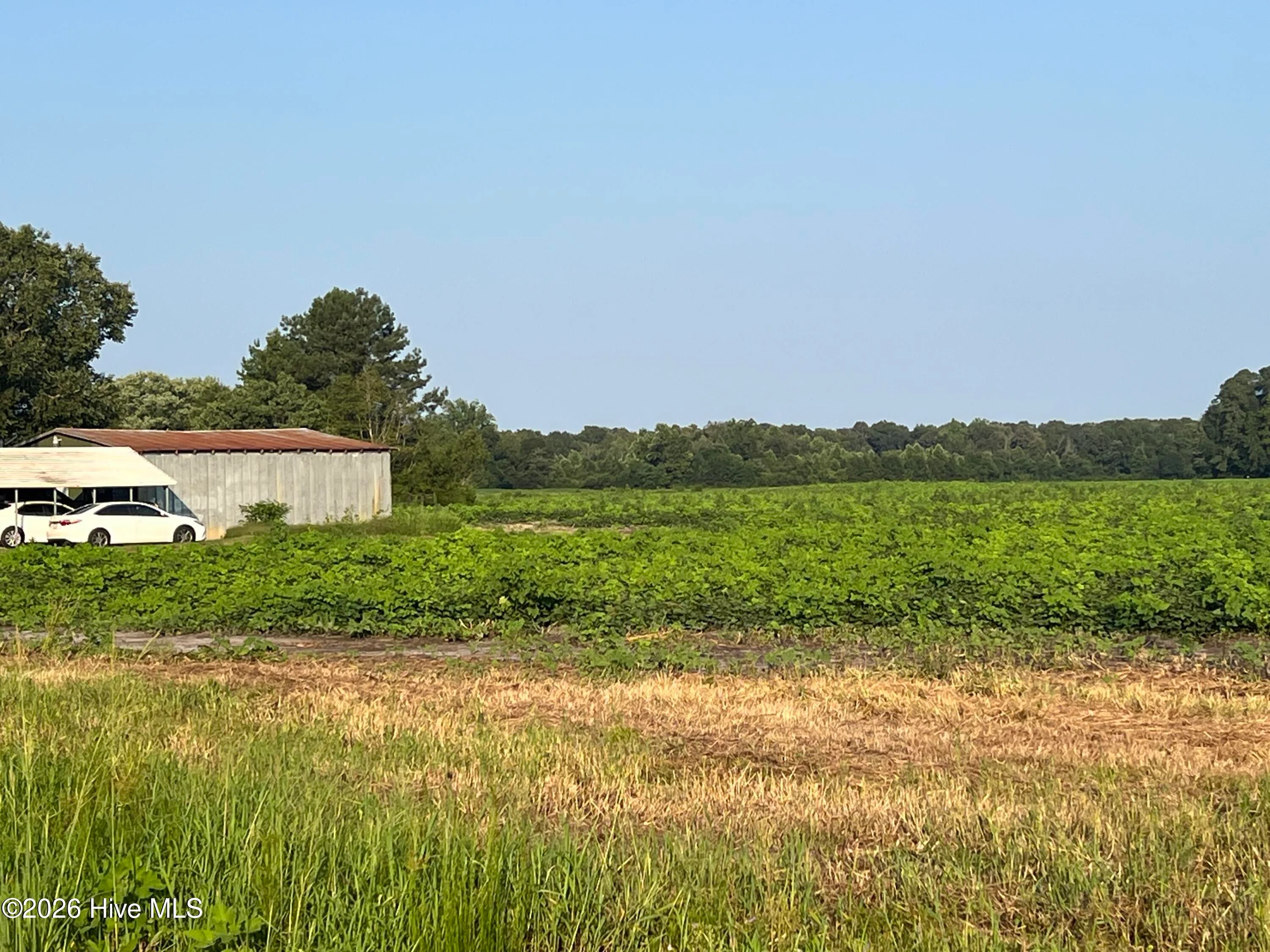 3541 Daughety White Road Road, Kinston, NC, 28501