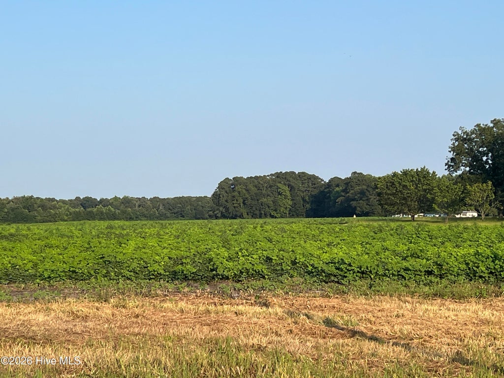 Photo of 3541 Daughety White Road Road, Kinston, NC 28501 (MLS # 100604786)