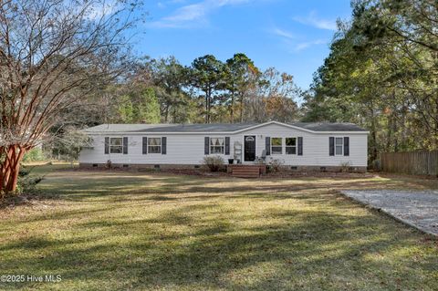 Photo of 151 Shelley Road, Hampstead, NC 28443 (MLS # 100550693)