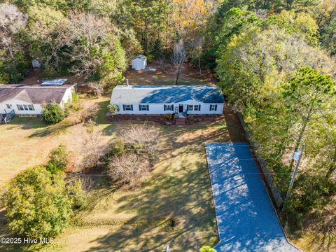Tiny photo for 151 Shelley Road, Hampstead, NC 28443 (MLS # 100550693)