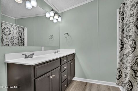 Tiny photo for 151 Shelley Road, Hampstead, NC 28443 (MLS # 100550693)