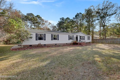 Tiny photo for 151 Shelley Road, Hampstead, NC 28443 (MLS # 100550693)