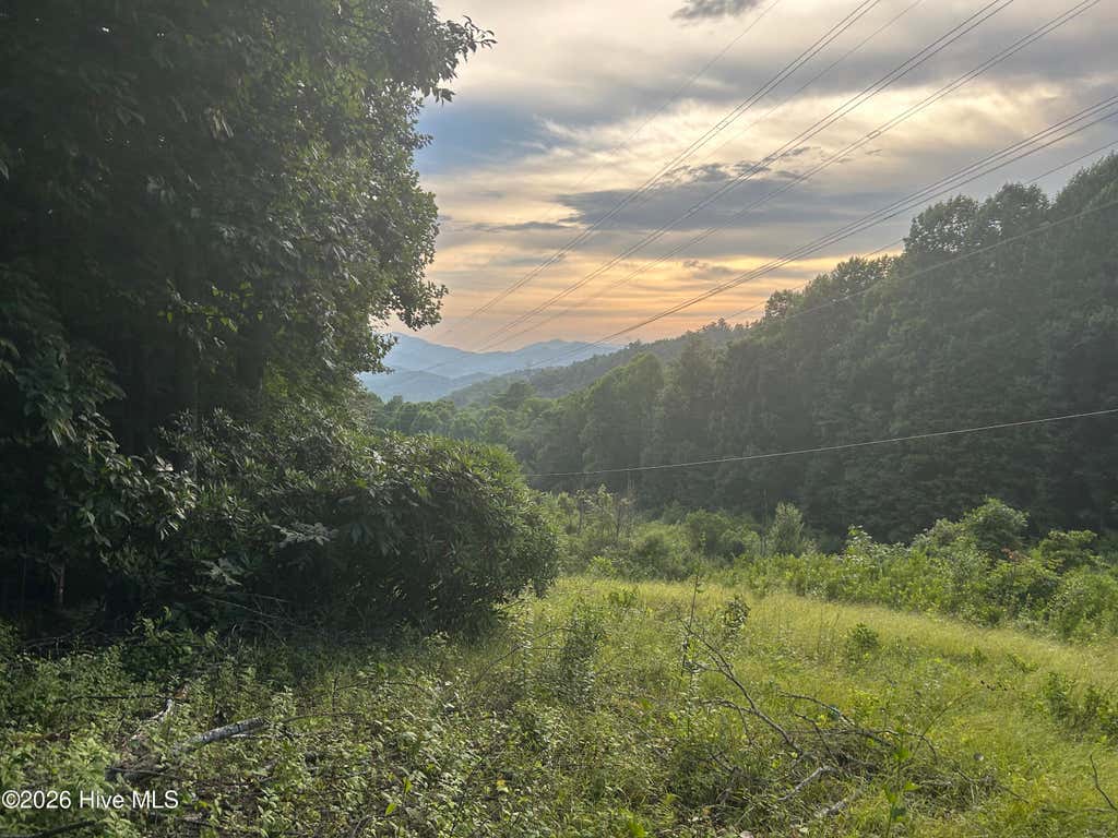 Photo of 0 Otter Creek Road, Topton, NC 28781 (MLS # 100585028)