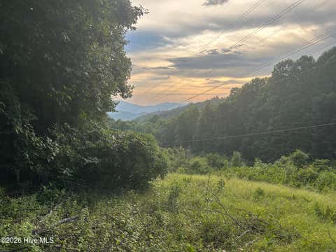 Vacant Land For Sale - Otter Creek Road<br/> Macon County, Topton, NC 28781