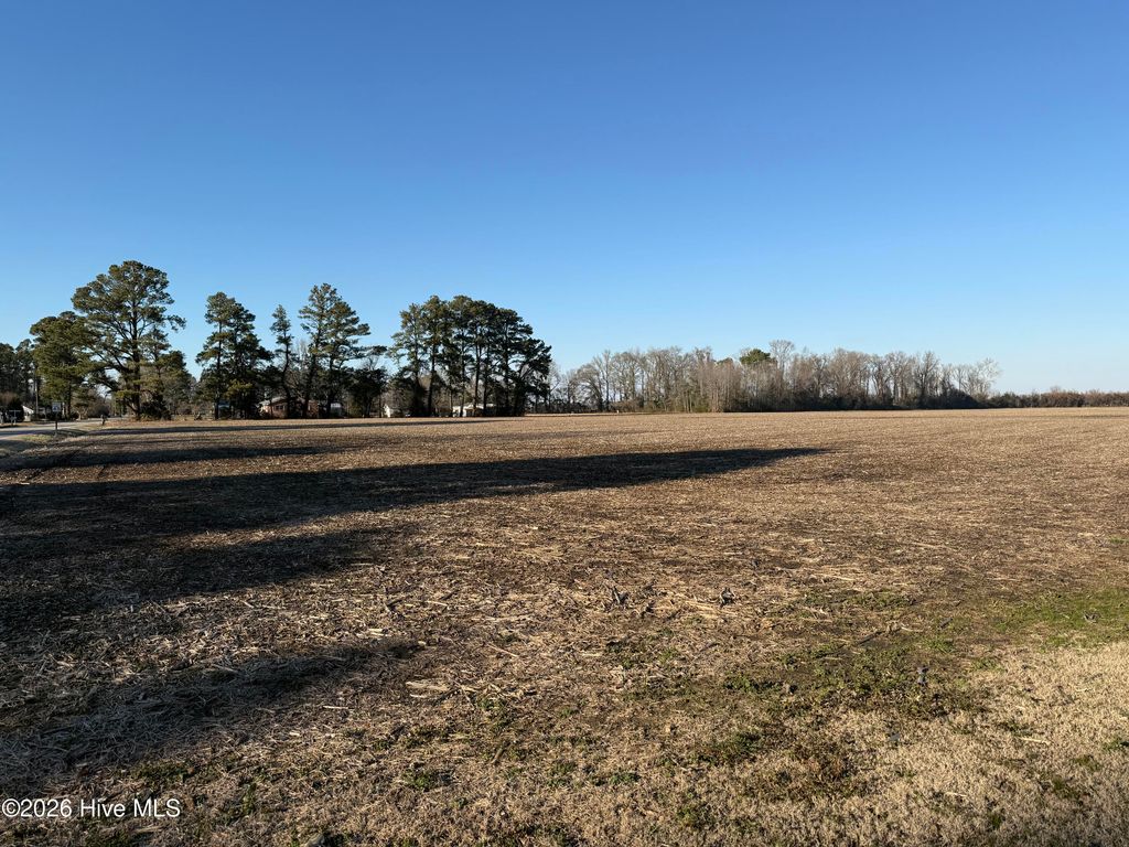 Photo of 26 Nc 99, Pantego, NC 27860 (MLS # 100563900)