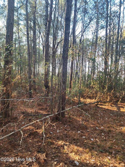 Vacant Land For Sale - 210 Highway Off<br/> Rocky Point, NC 28457