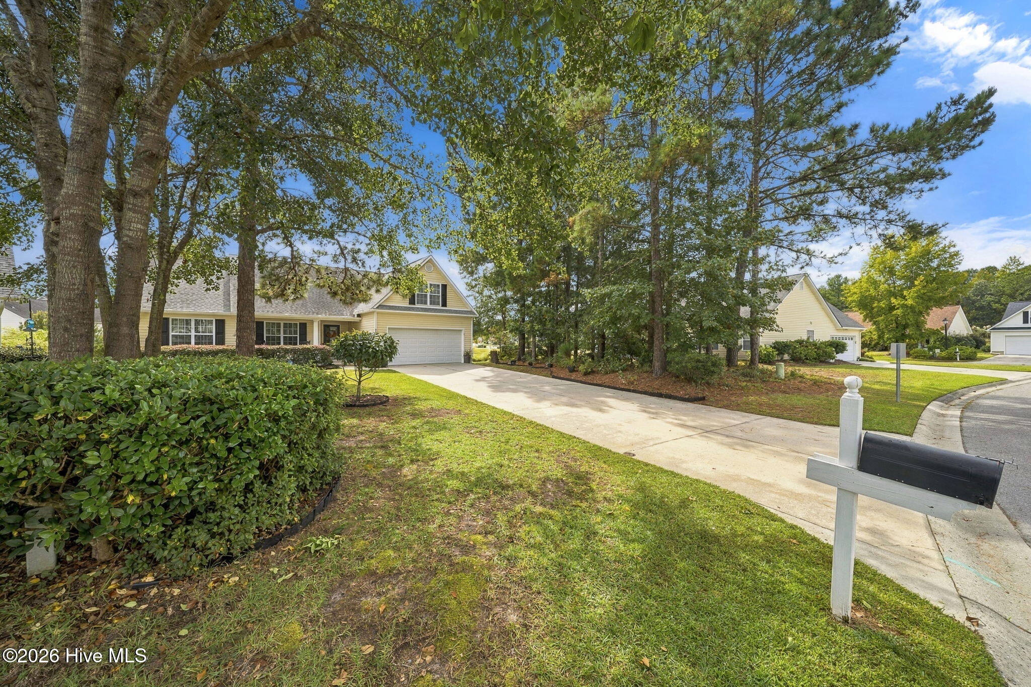 205 Whitehill Road
