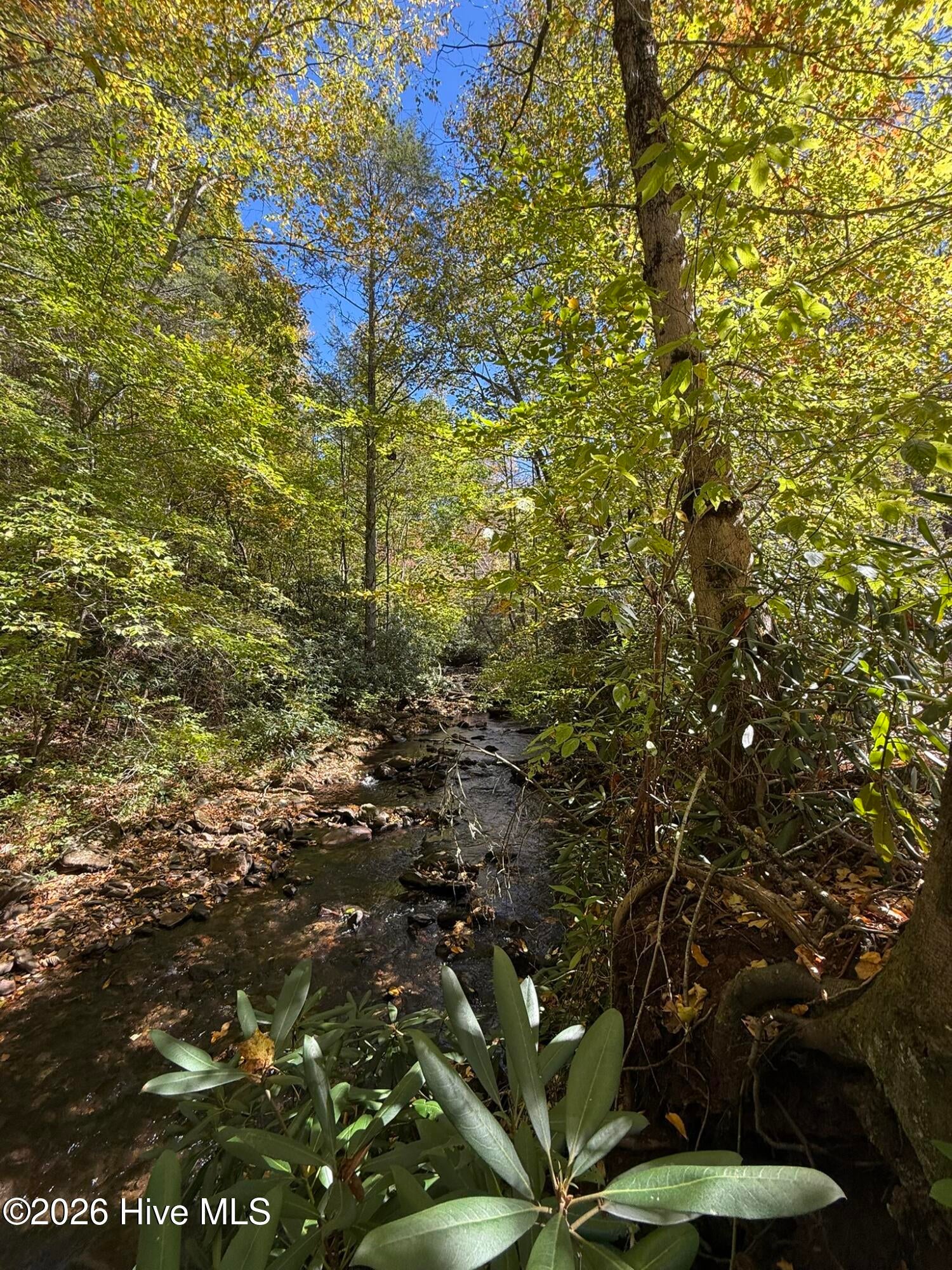 Hwy 129-s Tallulah Road 00