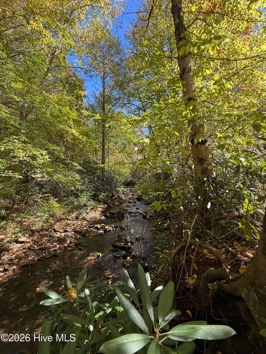 Photo of 129 Tallulah Road, Robbinsville, NC 28771 (MLS # 100611779)
