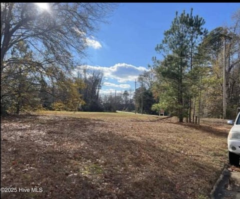 Vacant Land For Sale - Turnpike Road<br/> Laurinburg, NC 28352