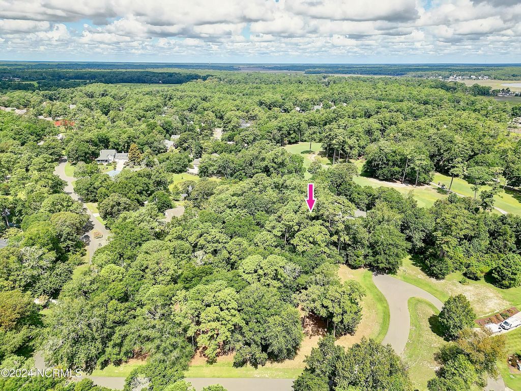 Photo of 3121 Bogie Court SW, Supply, NC 28462 (MLS # 100564965)