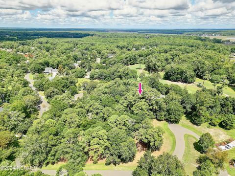 Tiny photo for 3121 Bogie Court SW, Supply, NC 28462 (MLS # 100564965)