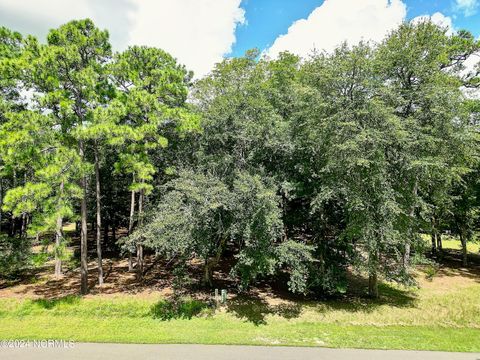 Vacant Land For Sale - 3121 Bogie Court<br/> Brunswick County, Supply, NC 28462