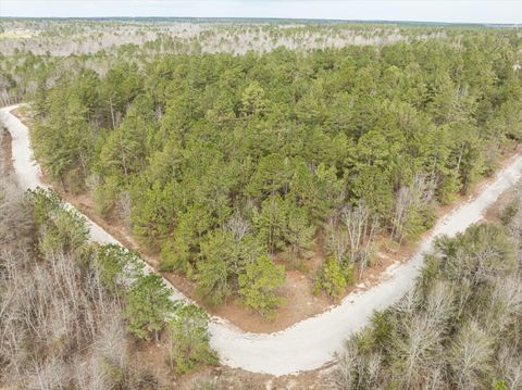 Vacant Land For Sale - 2687 Big Dog Trail<br/> Richmond County, Hephzibah, GA 30815