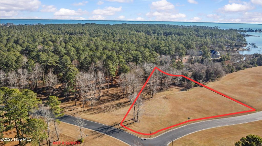 Photo of 17 Richfield Drive, Oriental, NC 28571 (MLS # 100552431)