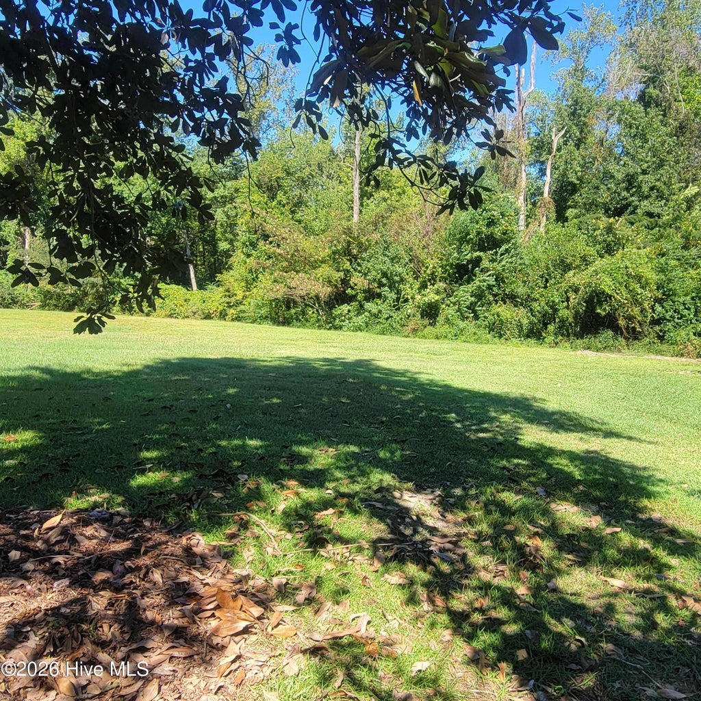 Photo of 7625 Old River Road, Burgaw, NC 28425 (MLS # 100608636)