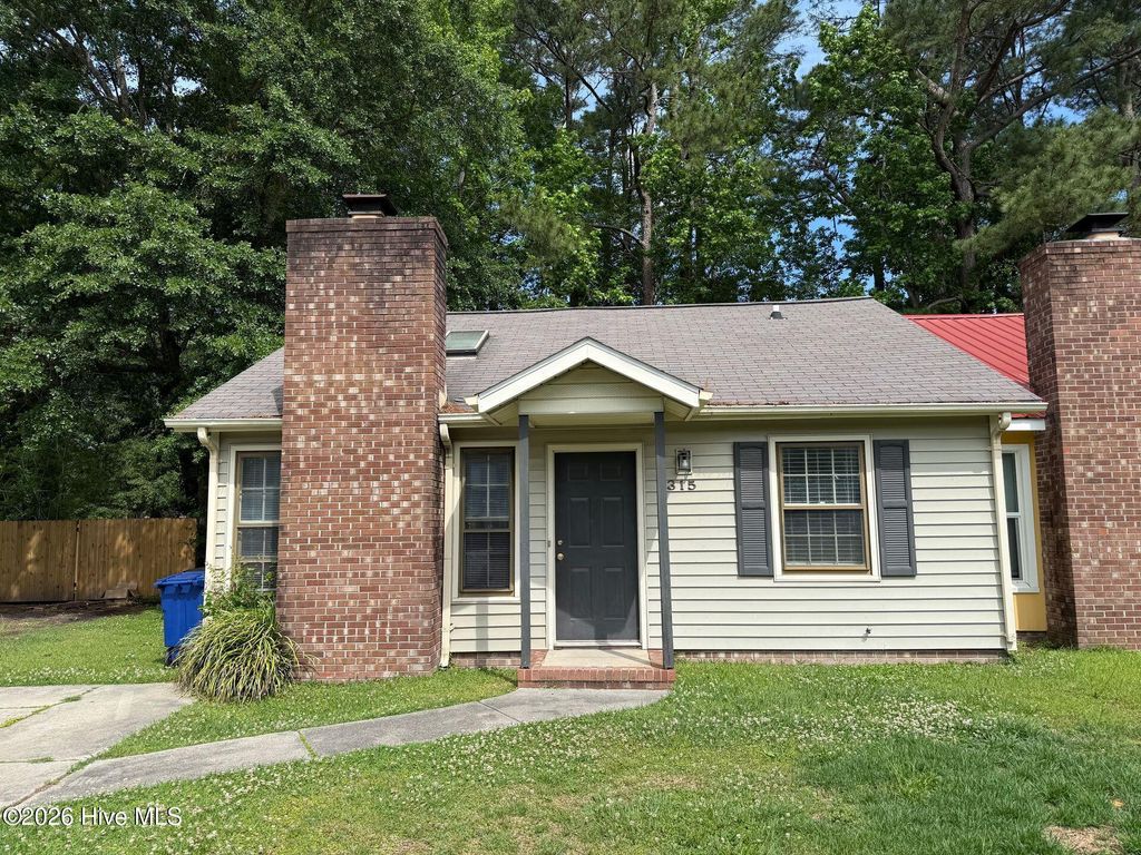 Photo of 315 W Frances Street, Jacksonville, NC 28546 (MLS # 100572646)
