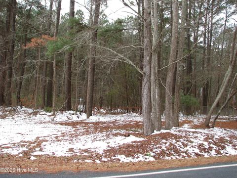Vacant Land For Sale - 1381 Folly Road<br/> Washington County, Plymouth, NC 27962
