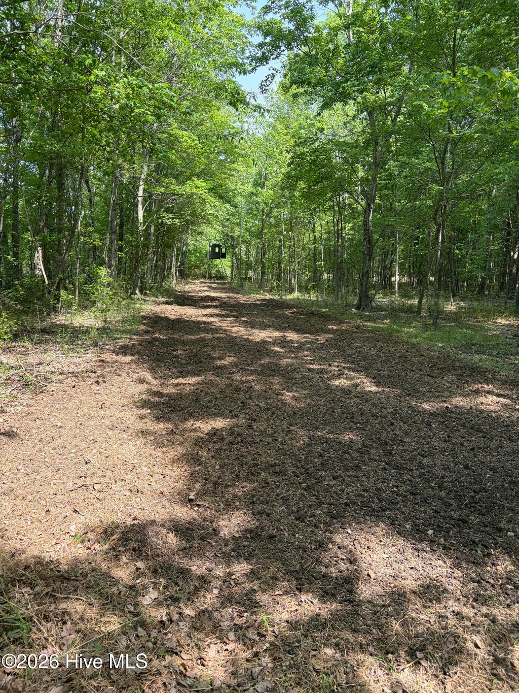 Photo of 1381 Folly Road, Plymouth, NC 27962 (MLS # 100552824)