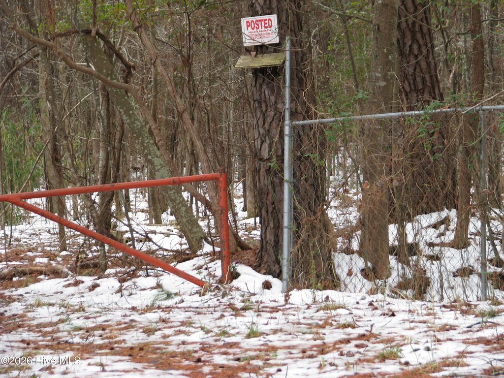 Photo of 1381 Folly Road, Plymouth, NC 27962 (MLS # 100552824)