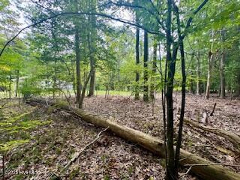 Photo of 53 Teak Street, Hertford, NC 27944 (MLS # 100548465)