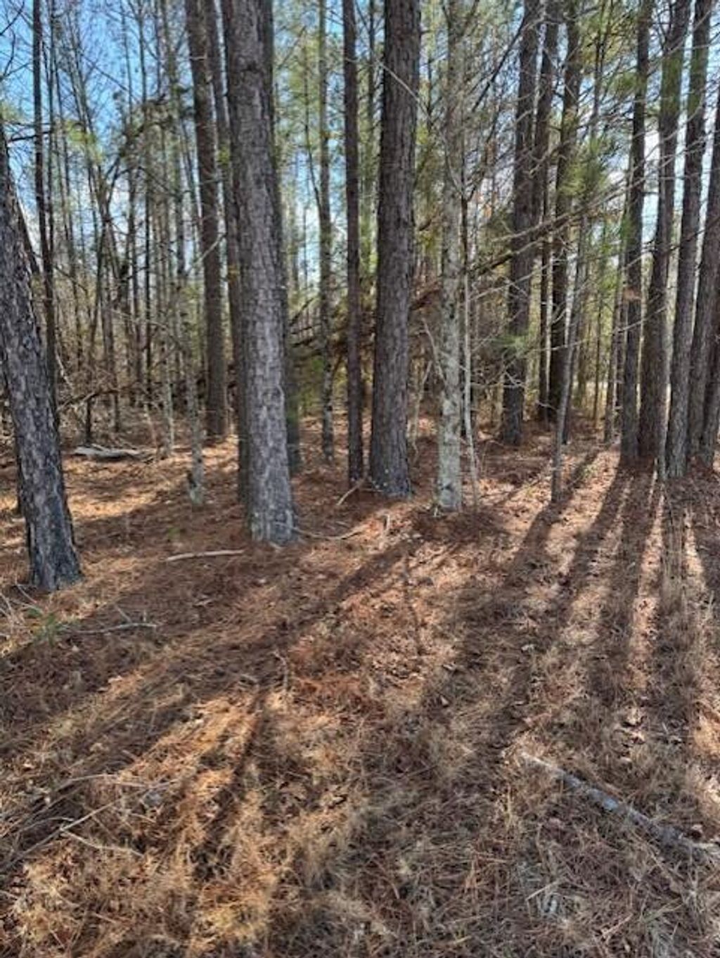 Photo of 101 Antlers Trail, Hephzibah, GA 30815 (MLS # 550414)