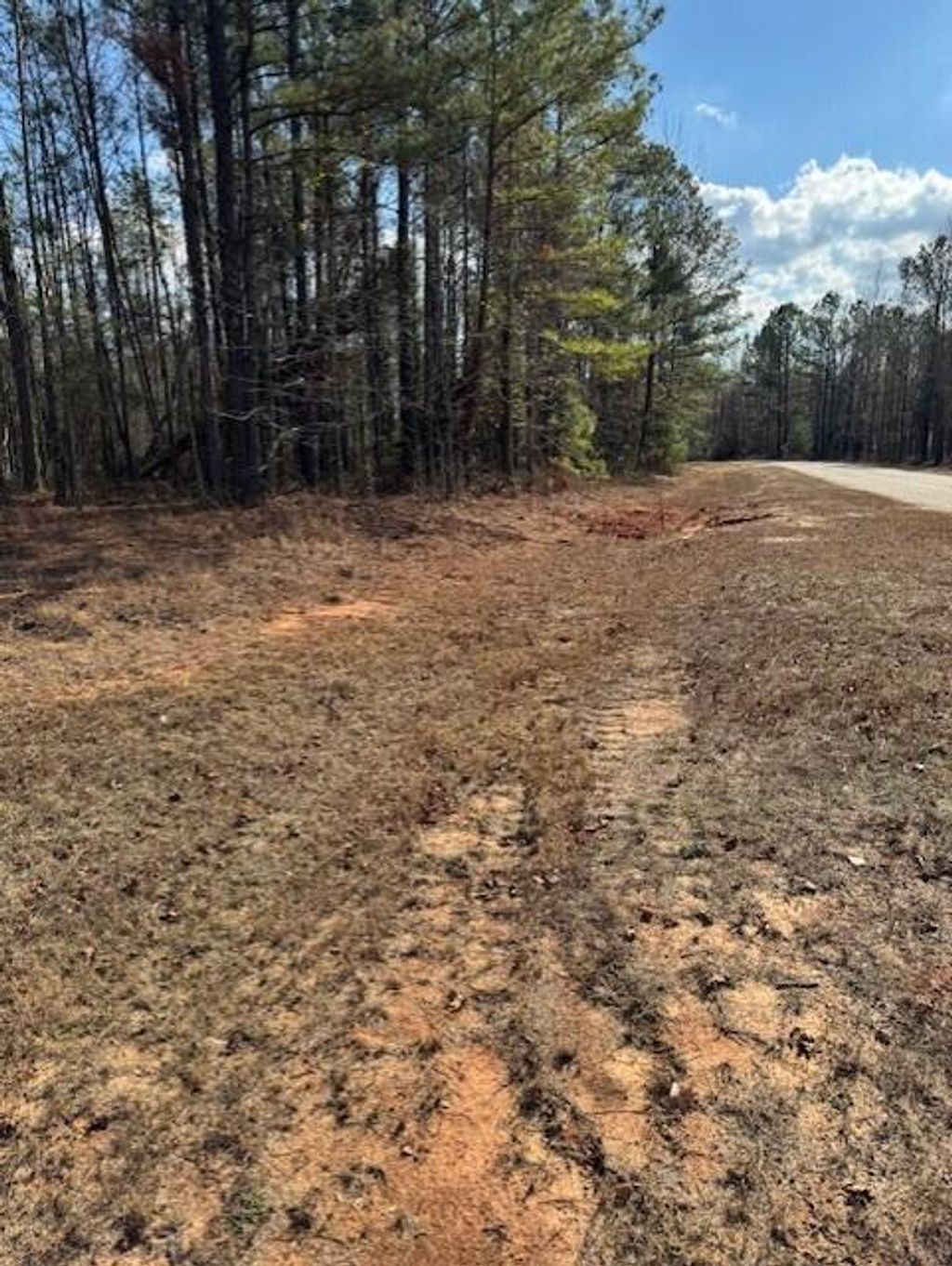 Photo of 101 Antlers Trail, Hephzibah, GA 30815 (MLS # 550414)