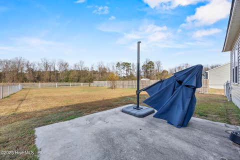 Tiny photo for 914 Haw Branch Road, Beulaville, NC 28518 (MLS # 100597659)