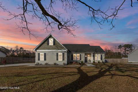 Tiny photo for 914 Haw Branch Road, Beulaville, NC 28518 (MLS # 100597659)