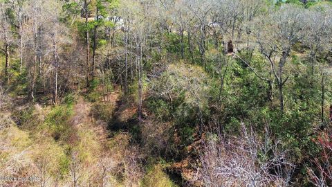 Tiny photo for 2712 Kelford Street SW, Supply, NC 28462 (MLS # 100560121)