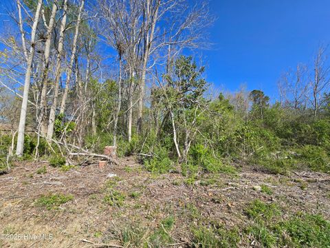 Vacant Land For Sale - 302 Spencers Avenue<br/> South Mills, NC 27976
