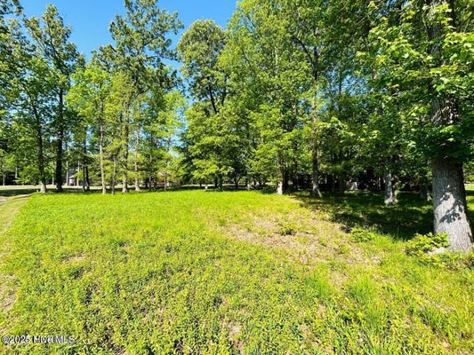 4 BROAD RIVER DR, HERTFORD, NC 27944 - Image 77f2477bf05ecf874edebe93f4ecc39a/3335578096