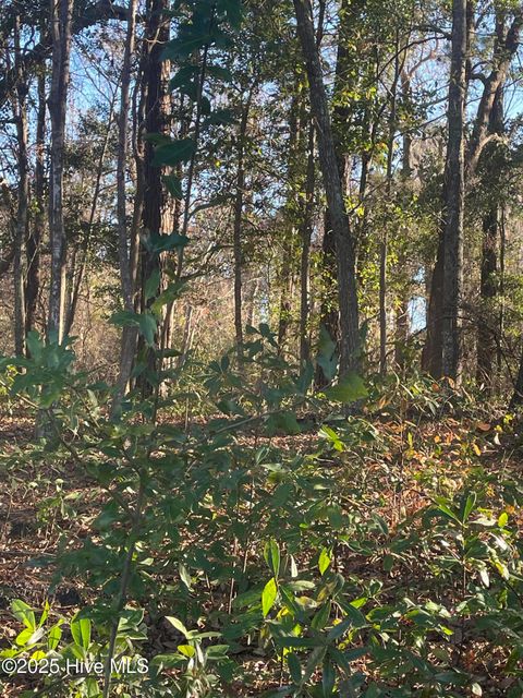 Tiny photo for 512 Chadwick Shores Drive, Sneads Ferry, NC 28460 (MLS # 100546046)