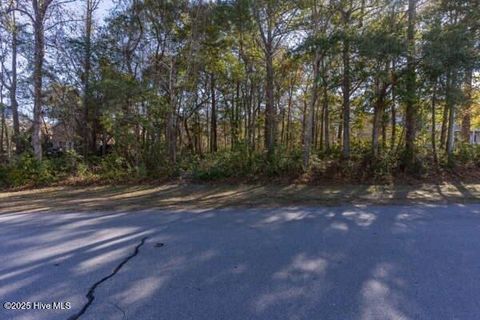 Tiny photo for 512 Chadwick Shores Drive, Sneads Ferry, NC 28460 (MLS # 100546046)