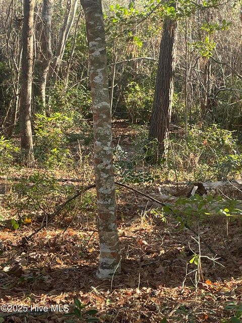 Tiny photo for 512 Chadwick Shores Drive, Sneads Ferry, NC 28460 (MLS # 100546046)