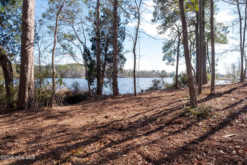 Photo of 668 Sawmill Road, Bath, NC 27808 (MLS # 100560777)