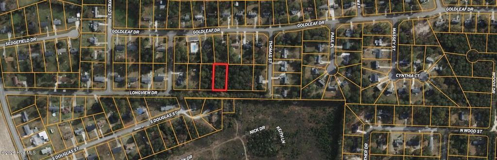 Photo of 307 Longview Drive, Goldsboro, NC 27534 (MLS # 100554605)