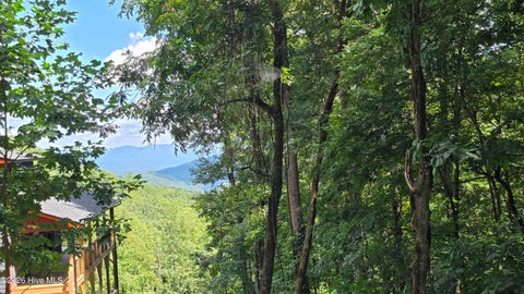 Vacant Land For Sale - LOT 1-2 Scenic Vista Drive<br/> Cherokee County, Murphy, NC 28906