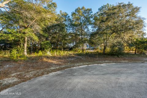 Tiny photo for 3335 Stone Crab Court SW, Supply, NC 28462 (MLS # 100545317)