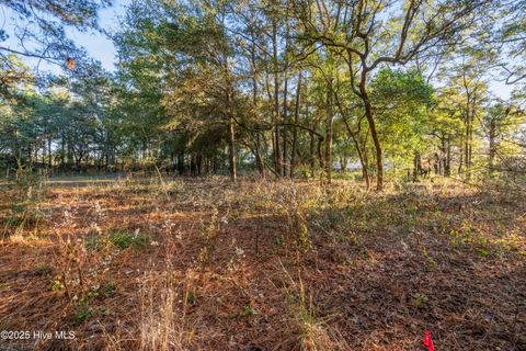 Tiny photo for 3335 Stone Crab Court SW, Supply, NC 28462 (MLS # 100545317)