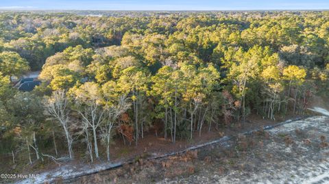 Tiny photo for 3335 Stone Crab Court SW, Supply, NC 28462 (MLS # 100545317)