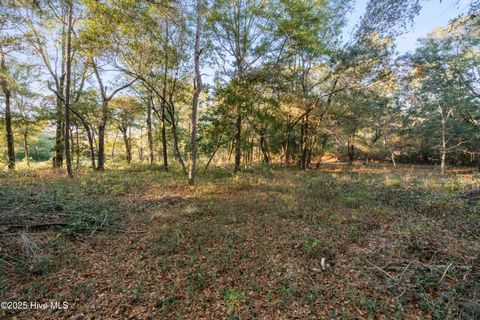 Tiny photo for 3335 Stone Crab Court SW, Supply, NC 28462 (MLS # 100545317)
