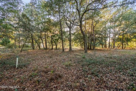 Tiny photo for 3335 Stone Crab Court SW, Supply, NC 28462 (MLS # 100545317)
