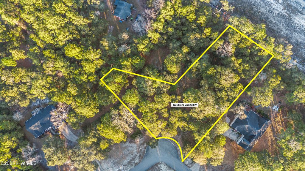 Photo of 3335 Stone Crab Court SW, Supply, NC 28462 (MLS # 100545317)